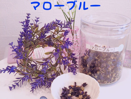 今日のハーブティー🌿マローブルー(色のマジシャン&美声のハーブ)