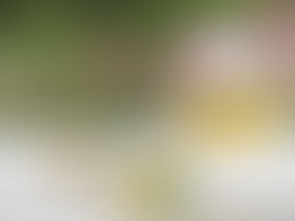 今日のハーブ🌿豆知識②ハーブティー習慣のオススメ️❣