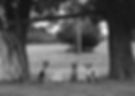           four dogs between trees (b&w).jpg
