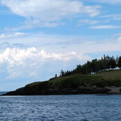 MaineLandscapeJune2019