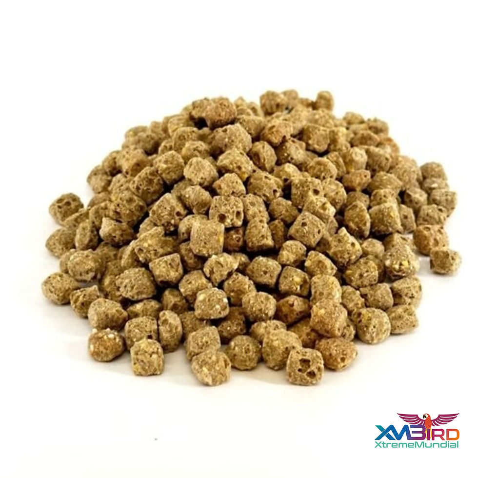 Thumbnail: Harrison's Pepper Lifetime Coarse Bird Food - Medium/Large 1Lb