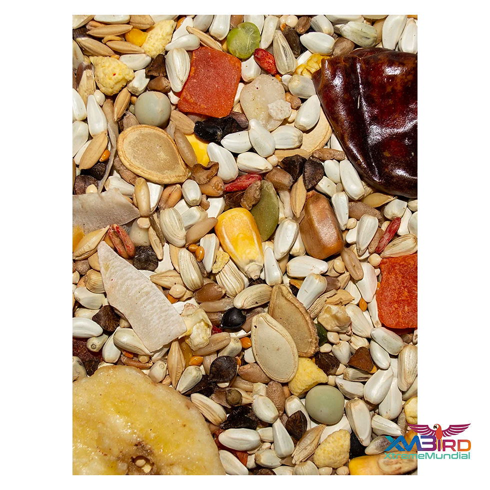 Thumbnail: Volkman Avian Science Super Hookbill Bird Food 4 Lbs
