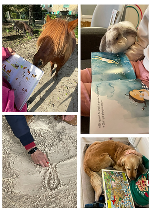 Ensemble et exemple de photos d'ateliers et de thérapie assistée par l'animal