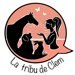logo de la ferme thérapeutique 