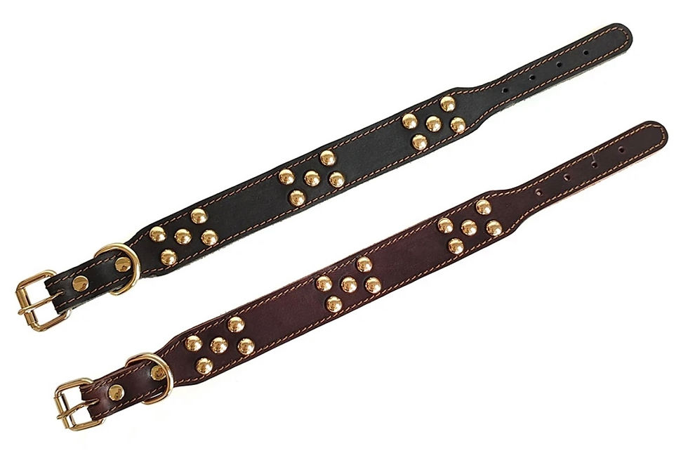 Thumbnail: Leather and Rivet Dog Collar