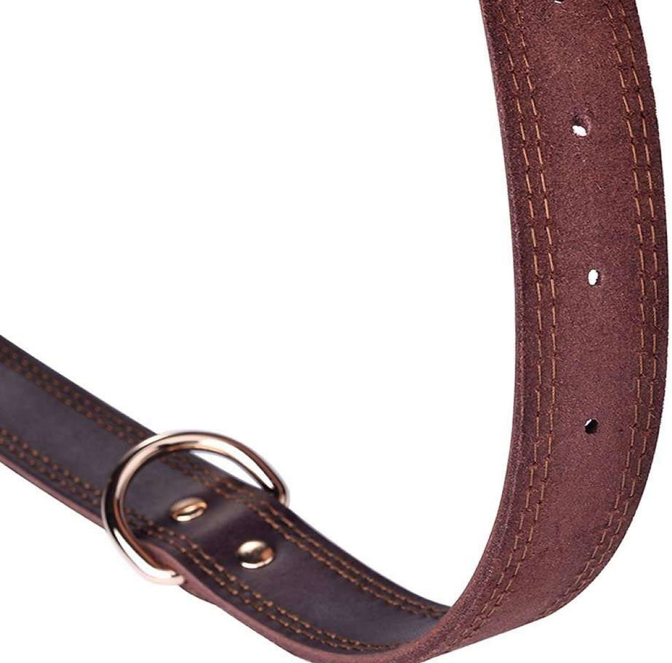 Thumbnail: Leather Dog Collar