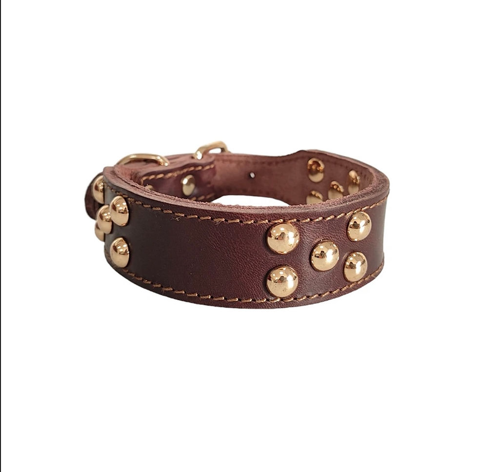 Thumbnail: Leather and Rivet Dog Collar