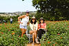 Summers Farm Flower Festival
