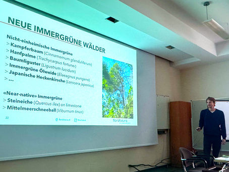 Beurteile nicht nach der Herkunft