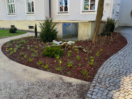 Eiben als tragendes Gerüst der Zukunft