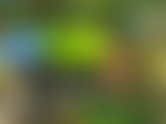Totholz – nicht nur ein Insektenparadies