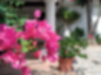 Beautiful Gardens