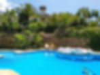 House from the pool