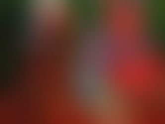 Feliz Dias de los Muertos