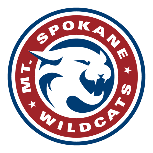 mt spokane .webp