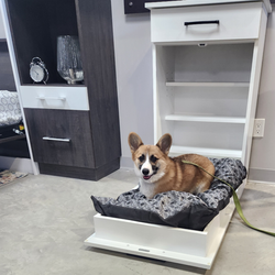 White Pet Murphy Bed with Storage Shelves