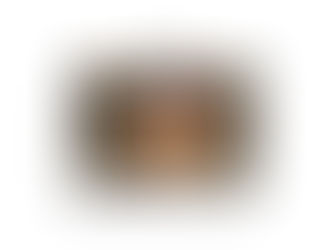 THE BLOG: "This one will be different" and other bullshit you have heard before.