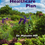 Thumbnail: God's Healthcare Plan (Hard Cover)