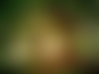 Ausdehnung deines Bewusstseins