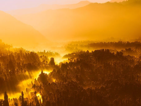 2020 Der neue Mensch / 5. Juni Lichtheilungs-Abend