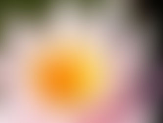 2020 - Neugeburt deines Lichtes Lichtheilungs-Abend 7. Februar