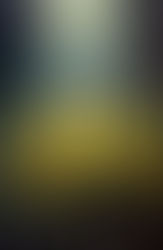 Harmonie und Schönheit