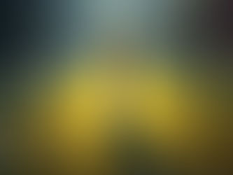 Harmonie und Schönheit