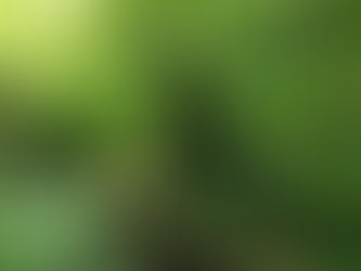 Dienstag, 15. Mai um 19:00 Uhr "Lichtabend für unsere Erde"