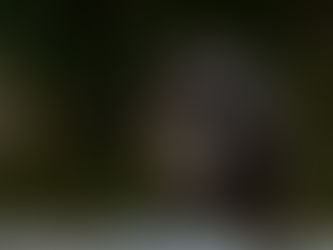 Regards croisés avec le Chamois