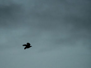 Premières neiges au Ventoux