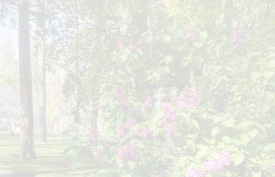 fade image faded small.png
