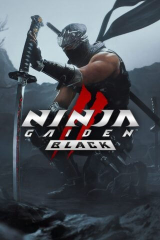 NG2 Black.jpg