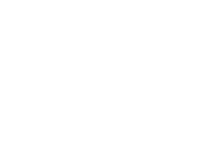 Org Chart White.png