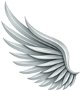 Wing – transp.gif