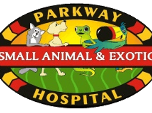 logo.png