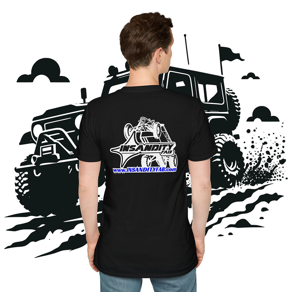 Black t-shirt featuring the Insandity Fab logo with a rock buggy graphic and the website www.insandityfab.com on the back.