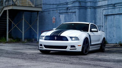 MUSTANG