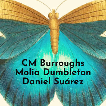 Coming Out of Hiding