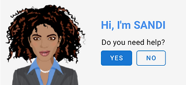 SANDI Chatbot interaction box