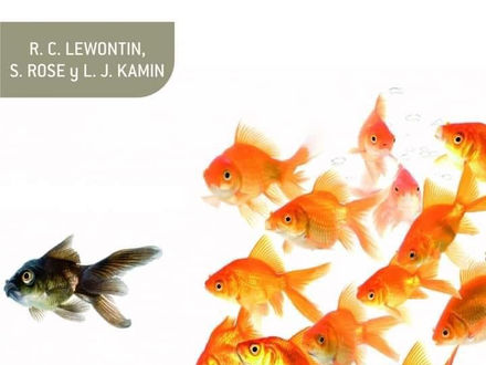 No está en los genes: racismo, genética e ideología. R. Lewontin, L. Kamin & S. Rose - R. Lewontin, L. Kamin & S. Rose