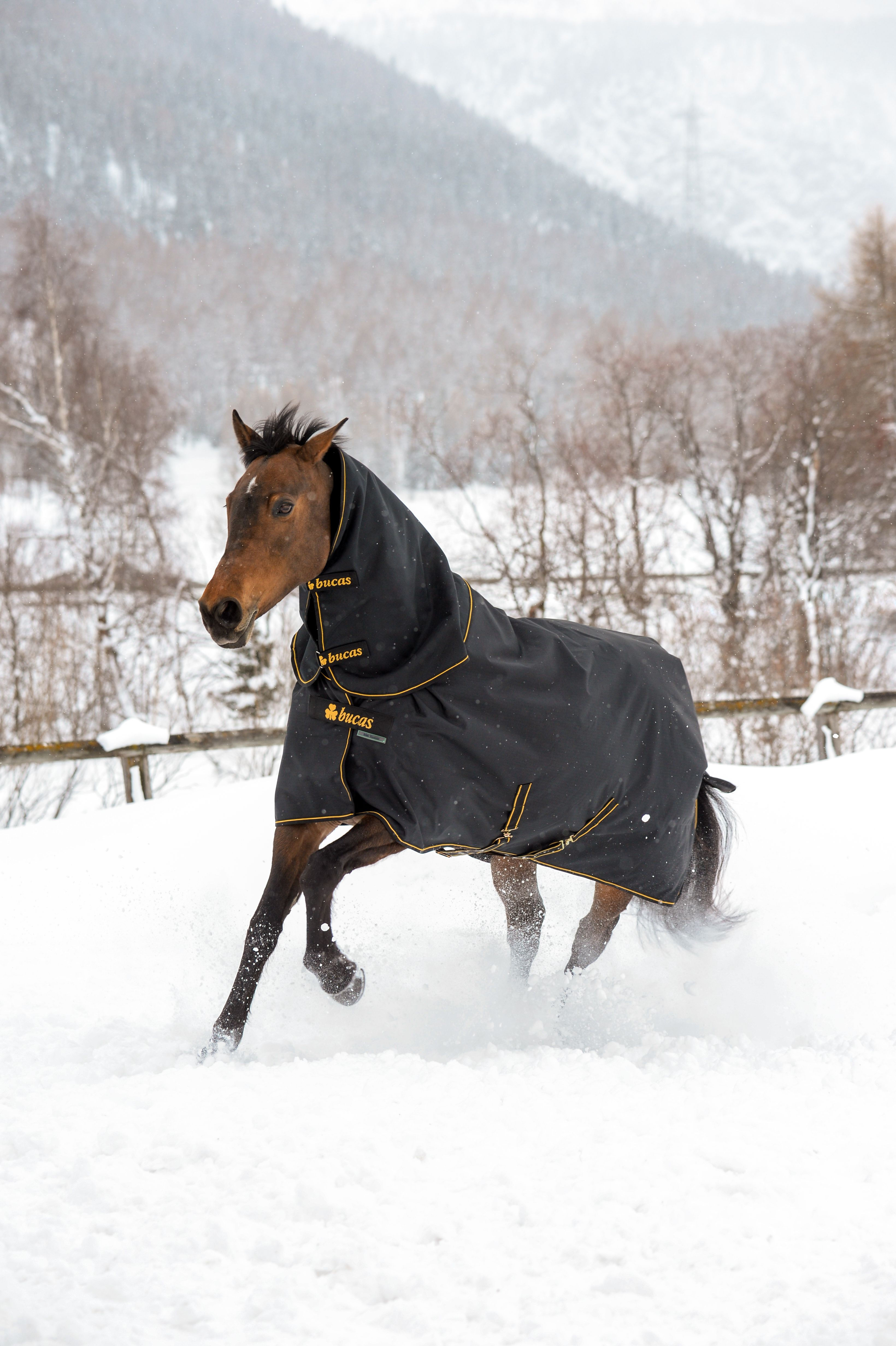 Bucas Irish Turnout & Neck 50g