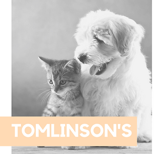 Tomlinson's Full Proposal-12 (dragged).tiff