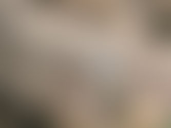 Holding Steady When the World’s Wrapped in Tinsel