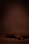 Untitled design (4).png