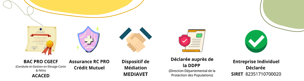 Bannière de document style axé sur l’image personnalisé.png