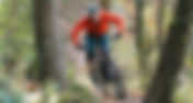 Mountain Biking & Trail Running & Hiking
