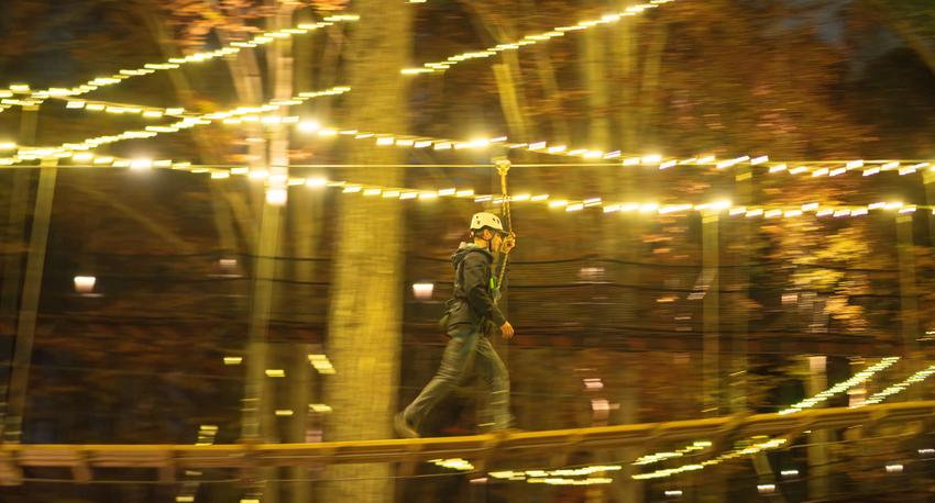 Tiger On Ropes Course Ropes Courses