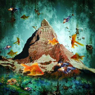 Collage, Kunst, Miroslav Blazanovic, Miroslav Shine