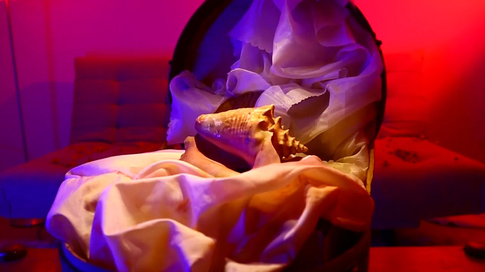 WhatsApp Image 2025-12-17 at 1.40.49 PM (2)