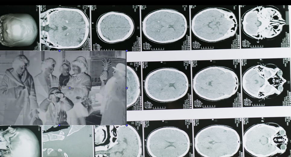 Captura de pantalla 2025-10-06 a la(s) 12.12.41.png